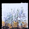 SAGE NOON