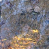 SOUL REFLECTION