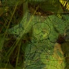 PHOTO MONTAGE