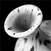 VASES 6