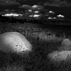 NIGHT LIGHT