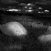 BLACK AND WHITE PHOTOS