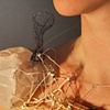 Untitled (Ginseng Bottle Surprise) 2
