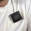 Urban Fossil Brooch 1