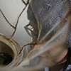 Revivalator (Detail)