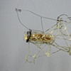 Untitled (Ginseng bottle Surprise) 2