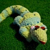 Ratigator
