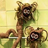 Girlionaffe 1 & 2