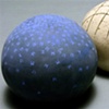 Bone Etch Moon and Goodnight Moon