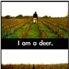 Fence Hopper (Action Poster)