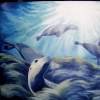 sea lions