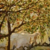 The Kindness of Trees