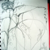 in the trees