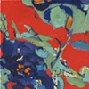 Red Violet Blossoms