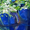 MoonVine