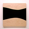 Other Works