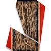 Exploratory Paintings