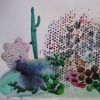 Succulents