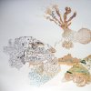 Geological Fungus