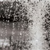 B/W Photography