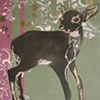 deer standing