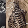 ribcage