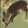 deer kneeling