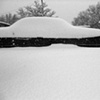 Snow covered 