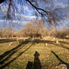 Cemetery shadow