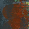from The Excess Series