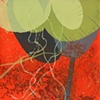 from The Excess Series