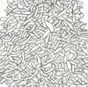 I measure everything in terms of buckets and piles.
(detail)