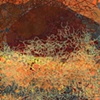from The Excess Series