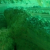 DessertedDesert2