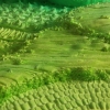 DessertedDesert1
