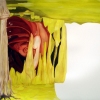 Paintings