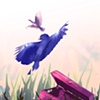 Flight