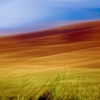 For A Few Moments Everything Becomes Perfectly Clear
