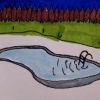 The pool