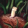 The Ugly Caterpillar 1