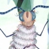 The Ugly Caterpillar 2