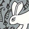 Star Thistle Rabbit Two
