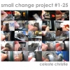 Small Change book