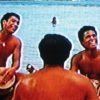 Blue Hawaii Postcards #5