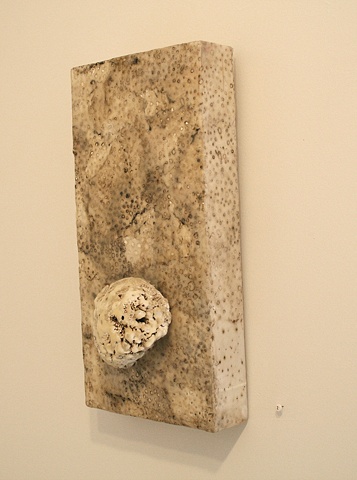 Nod (Gallery shot)