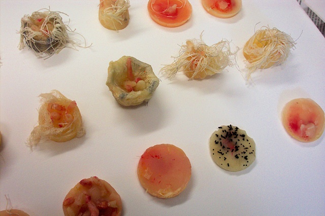 Specimens