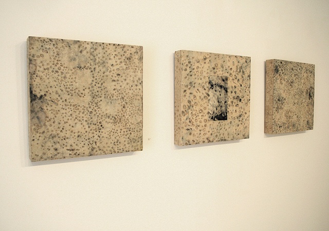 Skin Deep I, II and III
