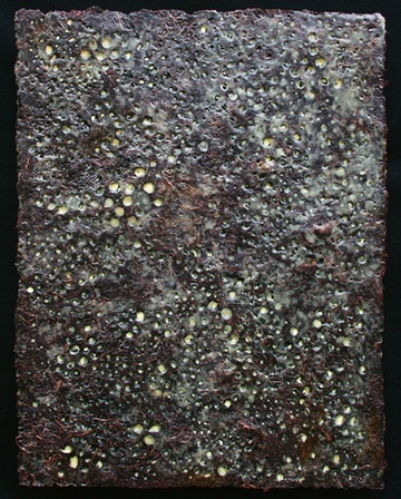 Encaustic, Burned Birdsnest paper, oil bar on panel