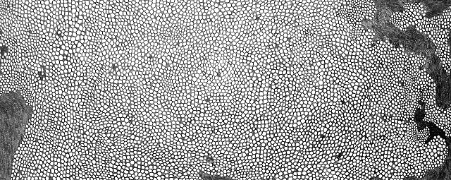 Pencil Map 