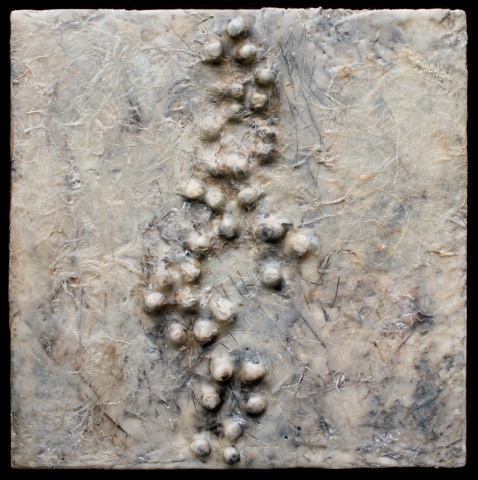 Nest   